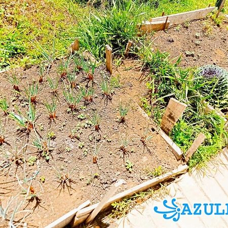 Azulejo Hotel เฮรีโค ภายนอก รูปภาพ