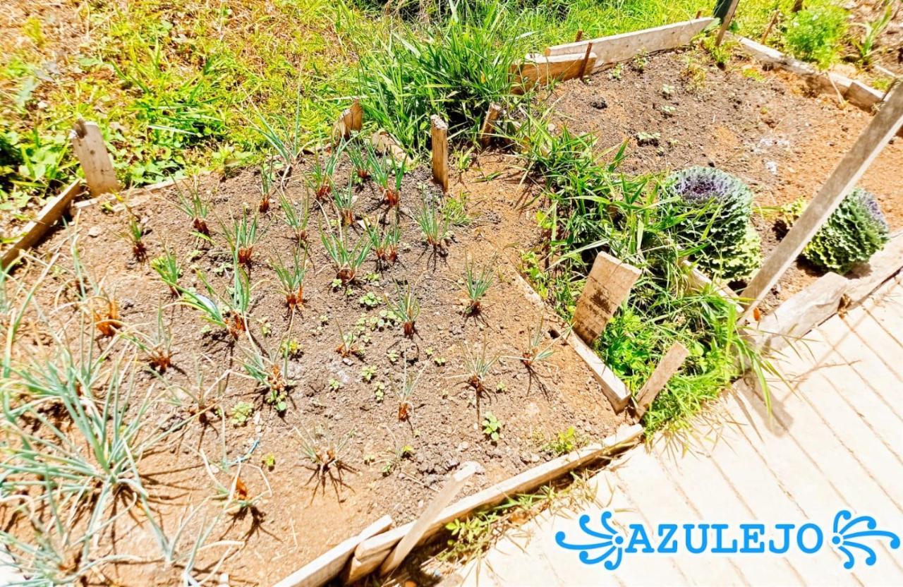 Azulejo Hotel เฮรีโค ภายนอก รูปภาพ